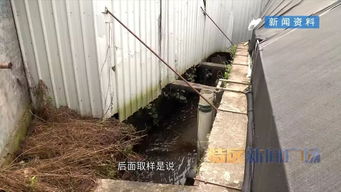 河長(zhǎng)制推動(dòng)河長(zhǎng)治 集美區(qū)清退污染溪流養(yǎng)鰻場(chǎng)，啟動(dòng)“三溪”全面治理